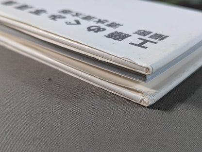 Megumi Kudo  photo  Episode Still Dream