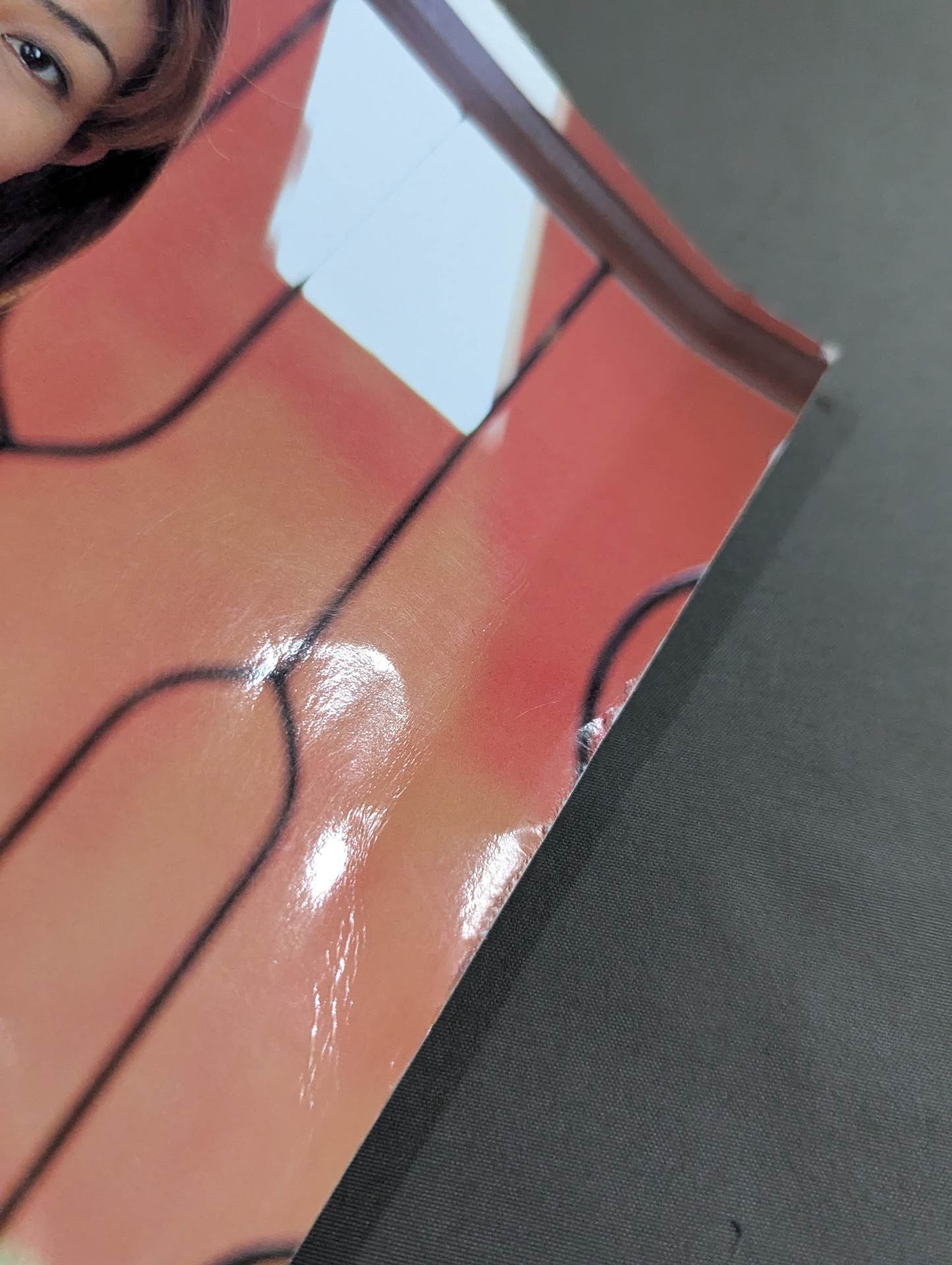 白鳥智香子 写真集 NOBLE STAGE