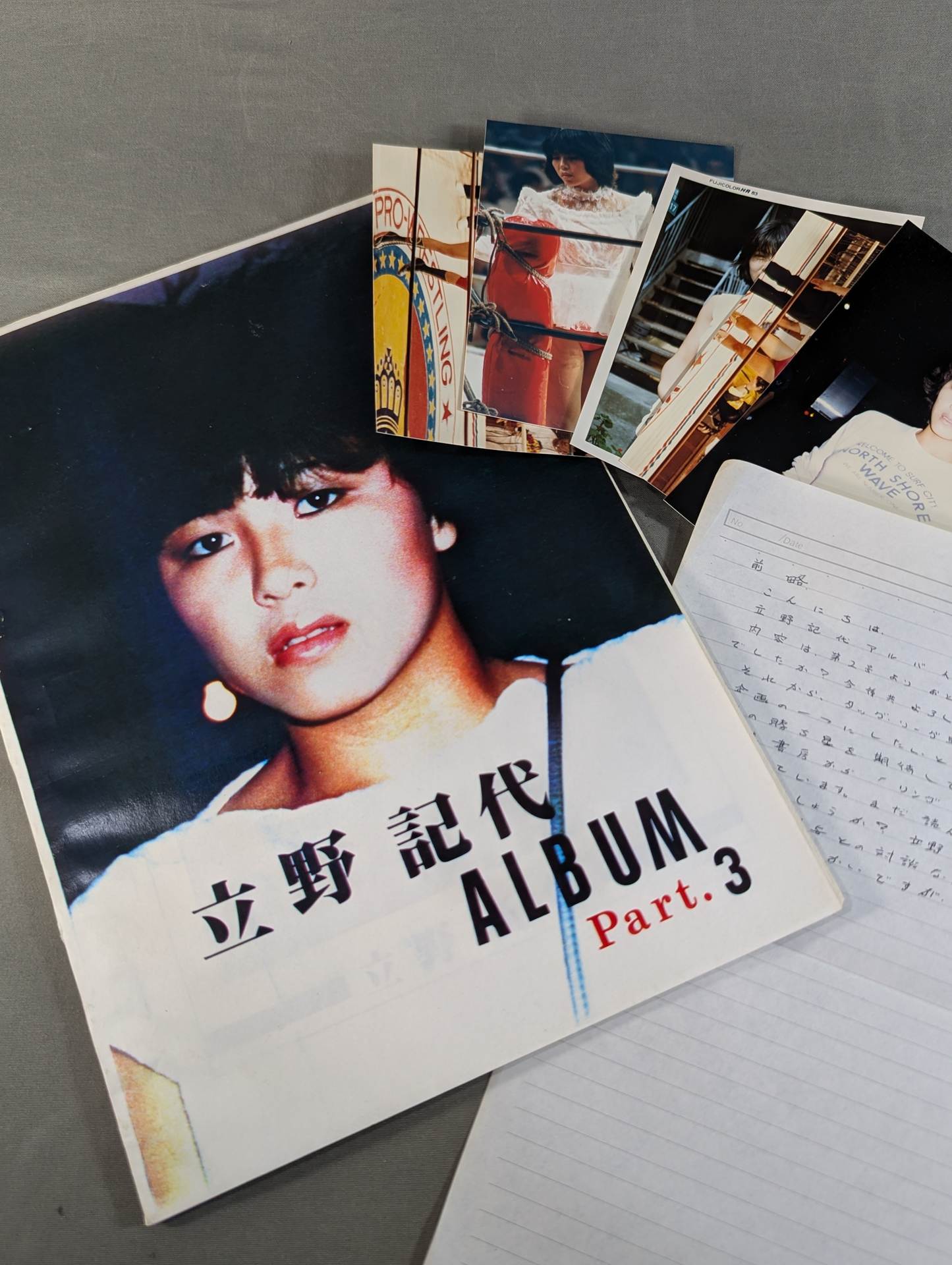 【おまけ付】立野記代アルバム Part.3