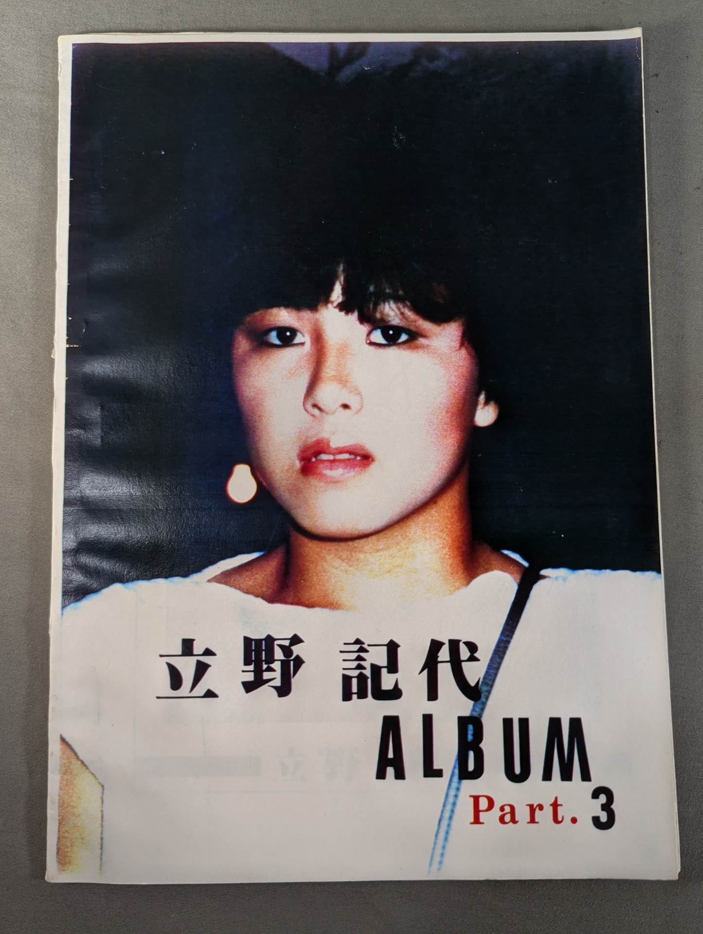 【おまけ付】立野記代アルバム Part.3