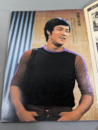 Bruce Lee , the hero of no return