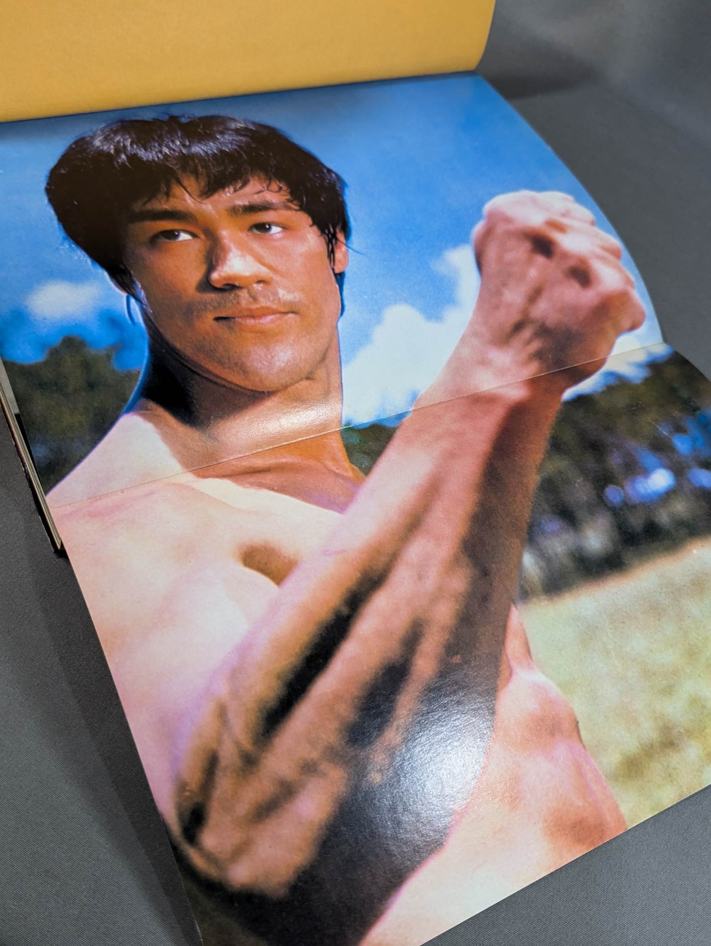 Bruce Lee  Deluxe Color Cinema Album 2