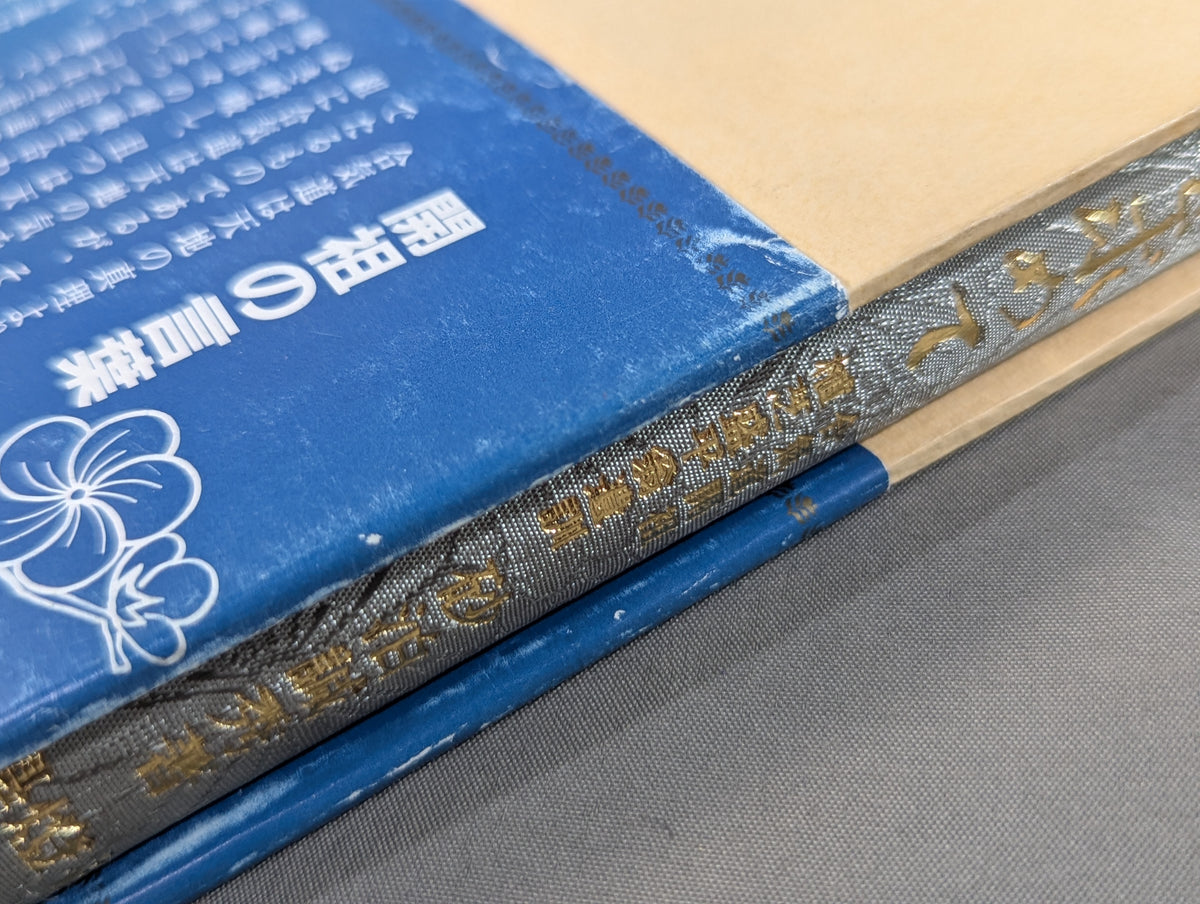 Sequel: Seeking the Spirit of Aikido - The Testament of Morihei Ueshiba, Founder of Aikido