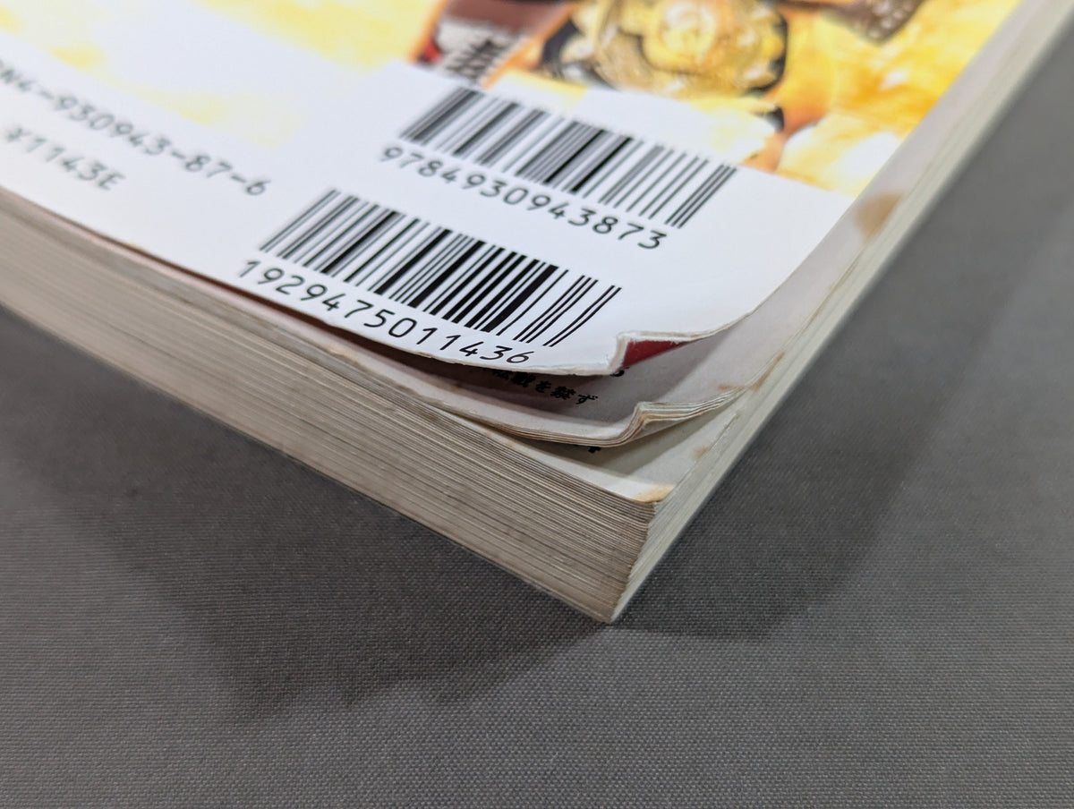 2005 Gong Pro Wrestling  Color Directory