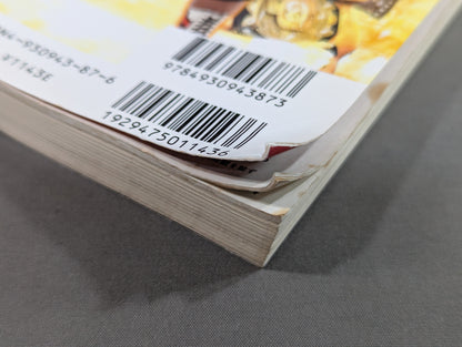 2005 Gong Pro Wrestling  Color Directory