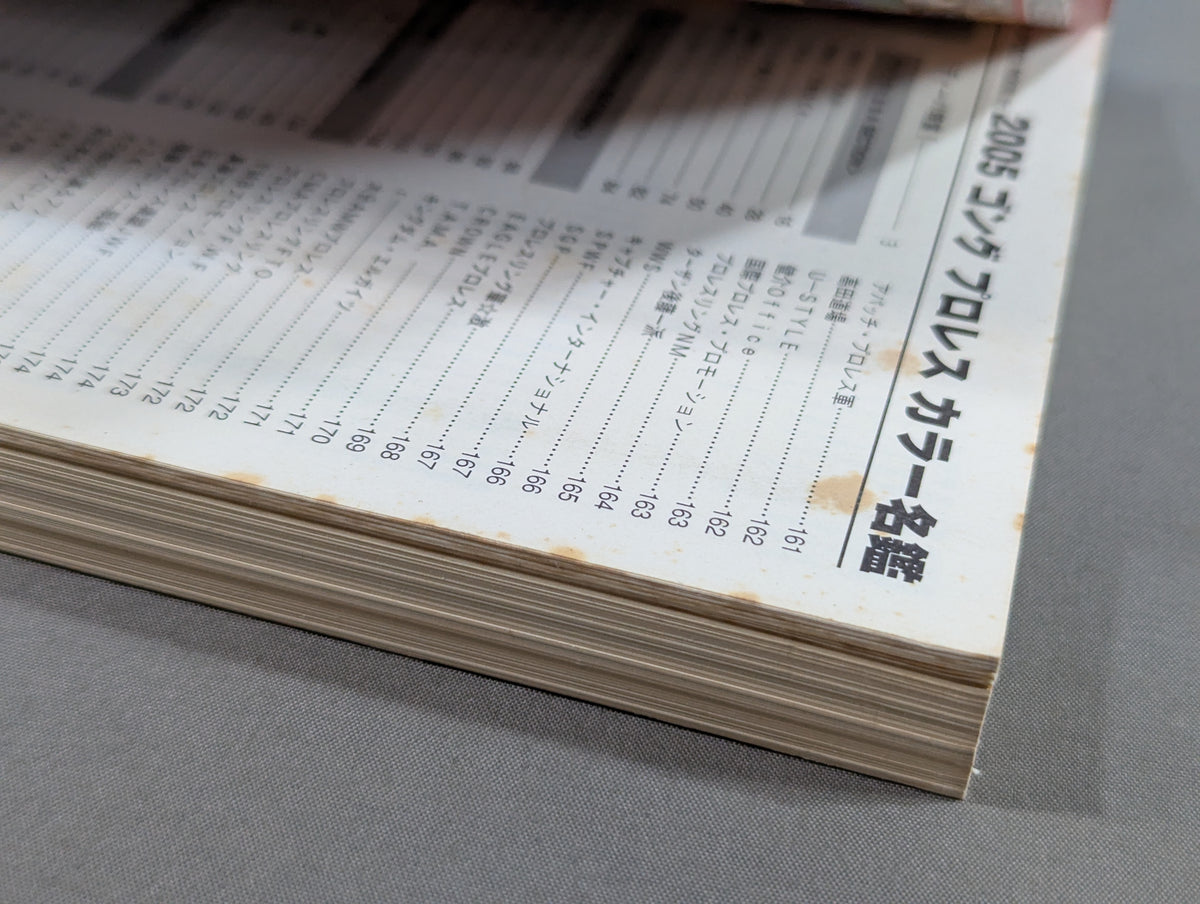 2005 Gong Pro Wrestling  Color Directory