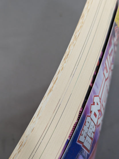 2005 Gong Pro Wrestling  Color Directory