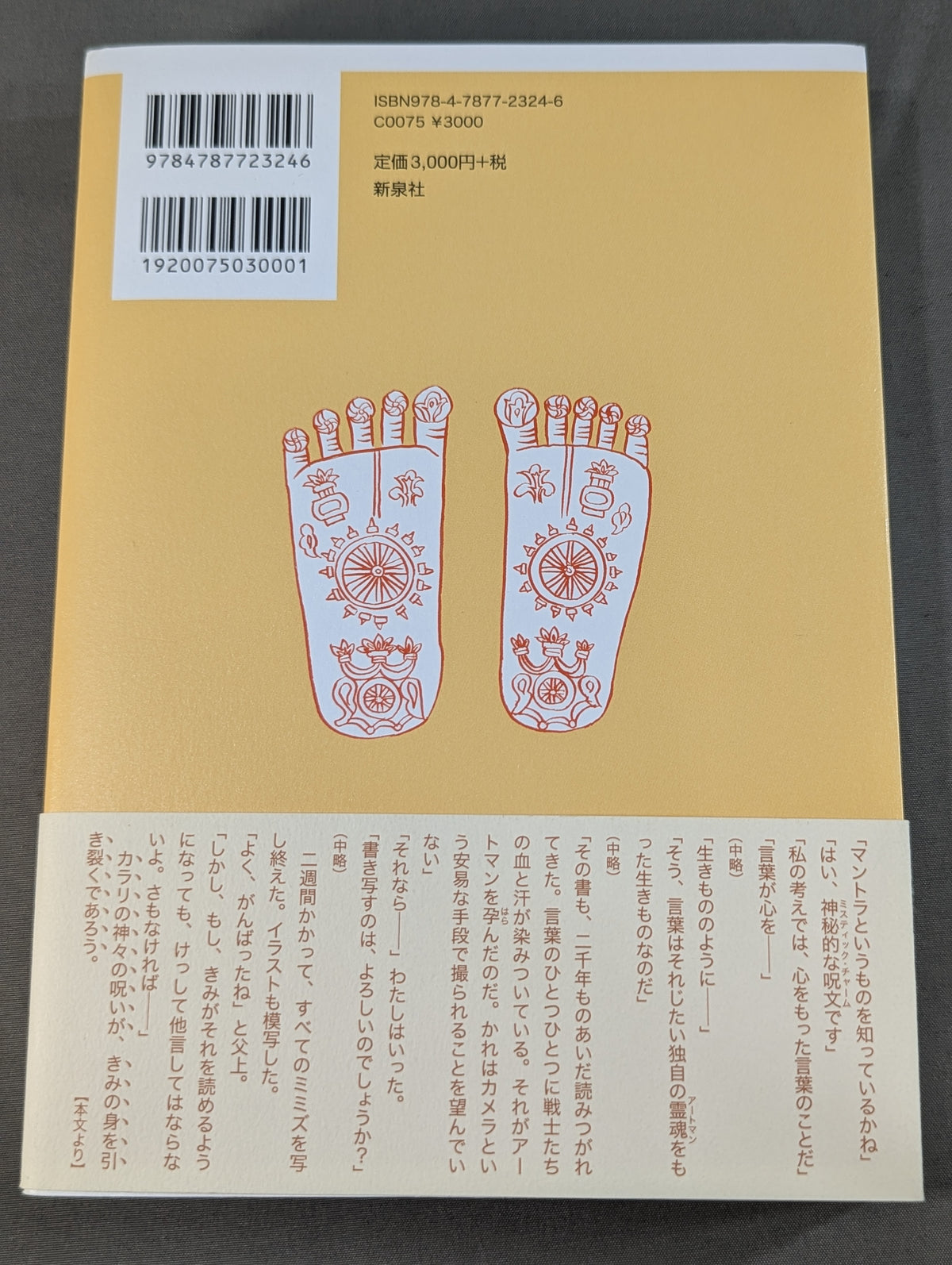 【補改訂版】 ヴェールを脱いだインド武術  甦る根本経典『ダヌルヴァーダ｣』