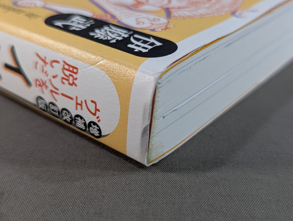 【補改訂版】 ヴェールを脱いだインド武術  甦る根本経典『ダヌルヴァーダ｣』