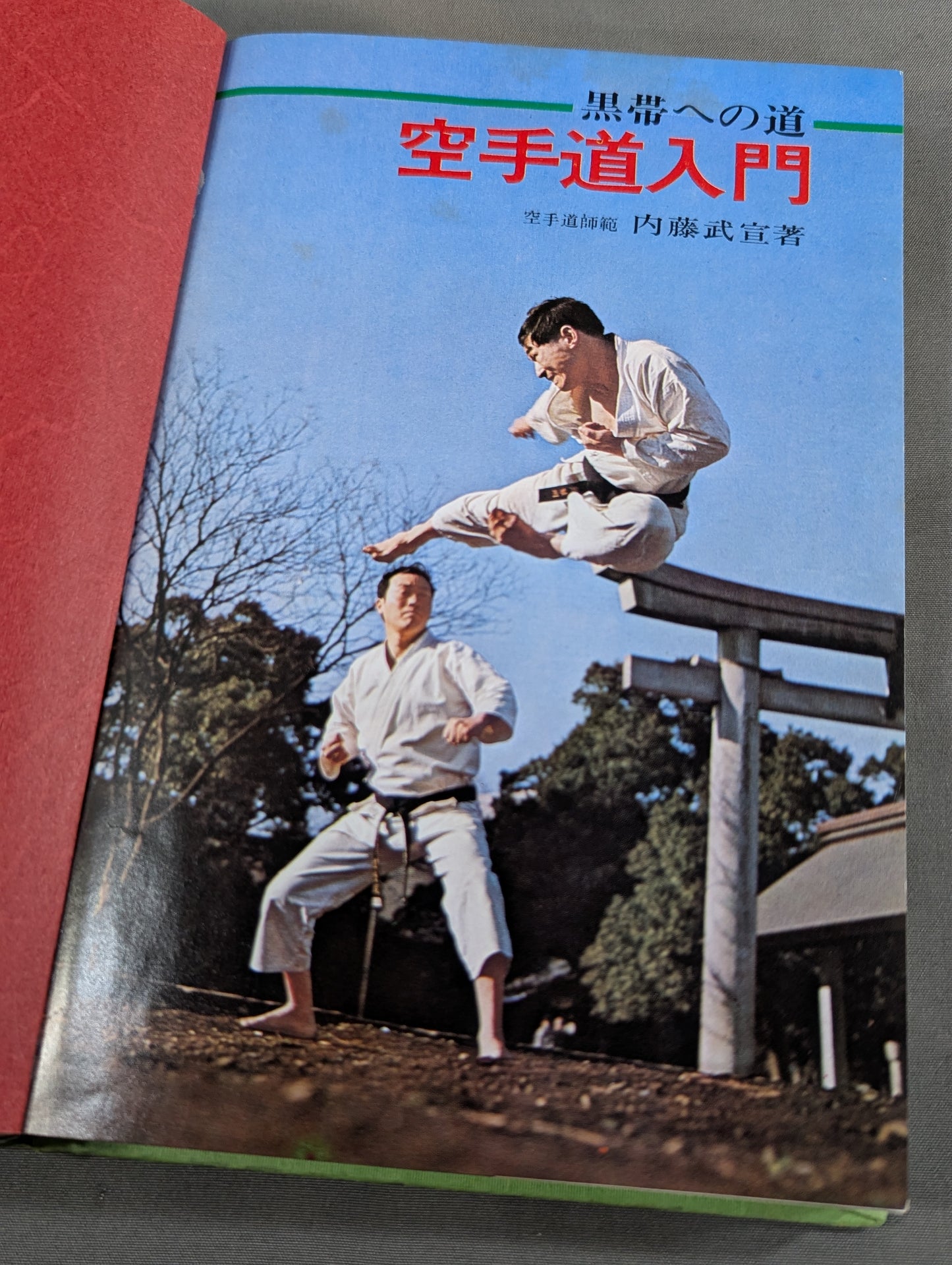 Junior Introductory Encyclopedia: The Road to Black Belt, KARATE Road Introduction