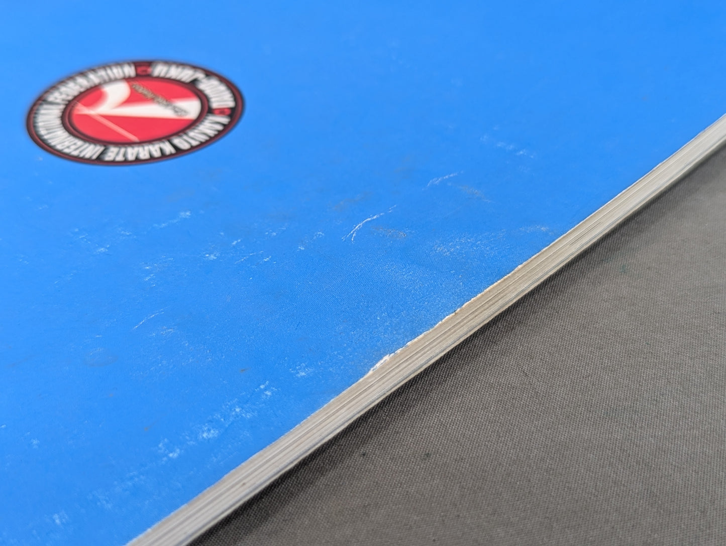 大道塾 二十年のあゆみ