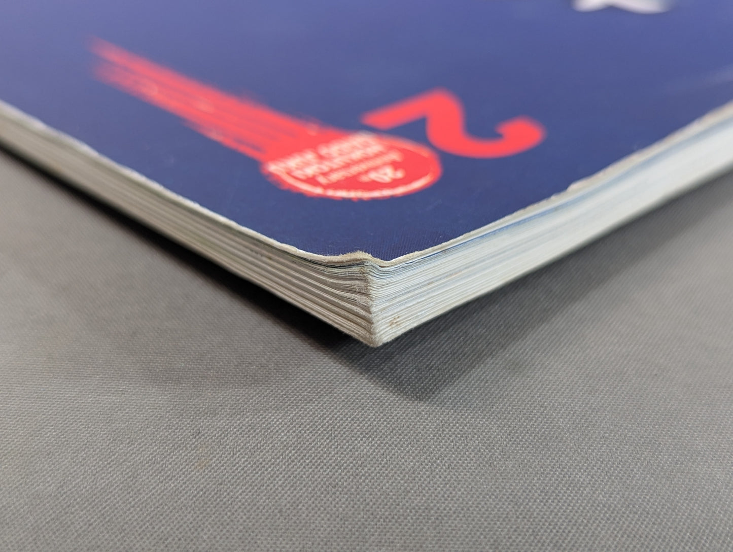 大道塾 二十年のあゆみ