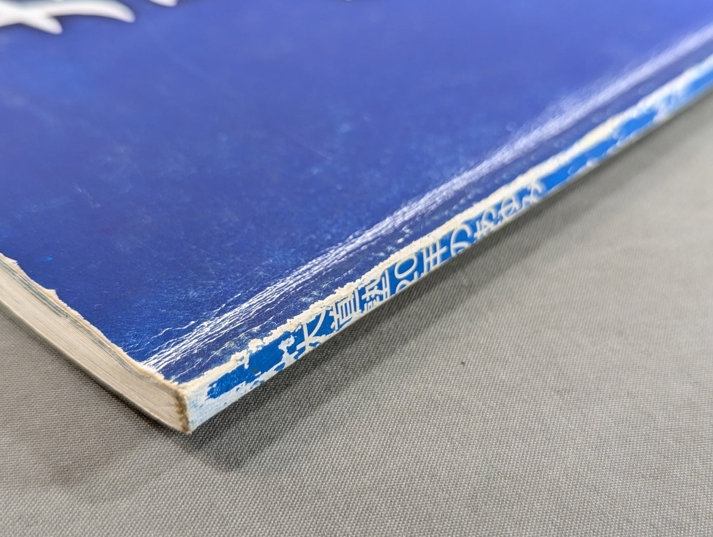 大道塾 二十年のあゆみ