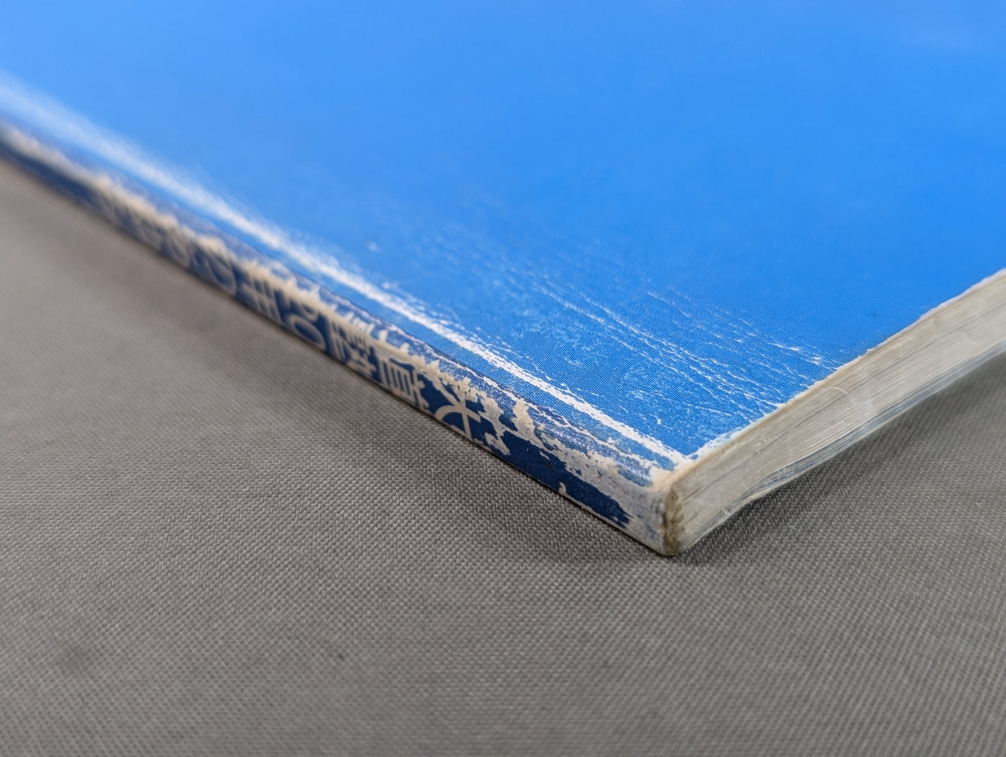 大道塾 二十年のあゆみ