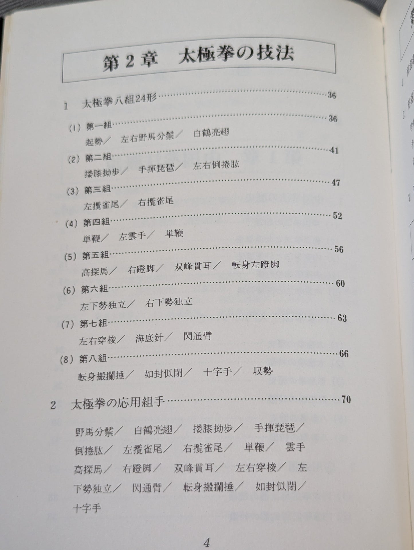 Chinese martial arts: Tai Chi, Xingyi Quan, Bagua Palm
