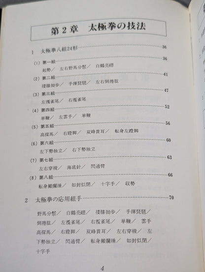 Chinese martial arts: Tai Chi, Xingyi Quan, Bagua Palm
