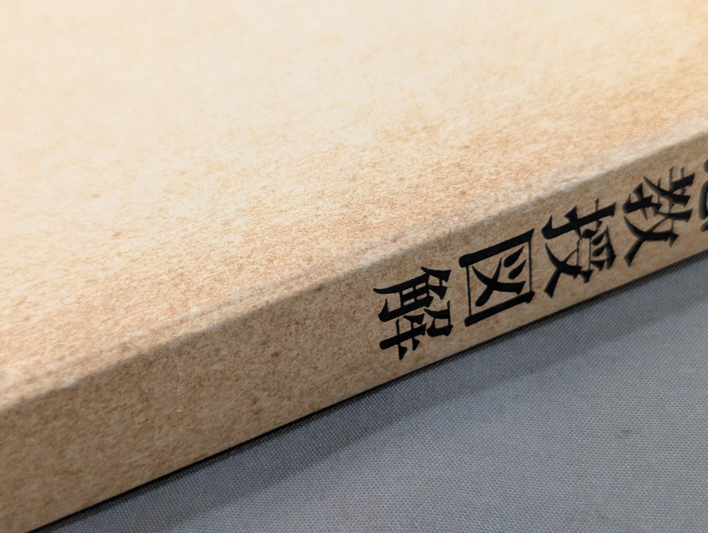 [Reprint Edition] Tenjin Shinyo-ryu Jujutsu Extreme Professor Illustrated