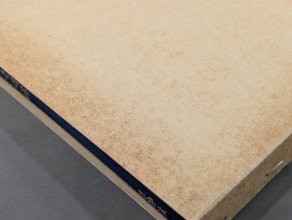 [Reprint Edition] Tenjin Shinyo-ryu Jujutsu Extreme Professor Illustrated