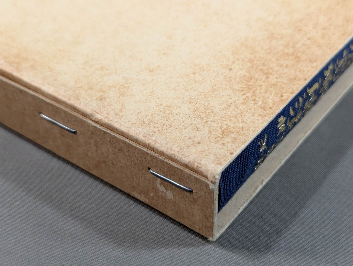 [Reprint Edition] Tenjin Shinyo-ryu Jujutsu Extreme Professor Illustrated