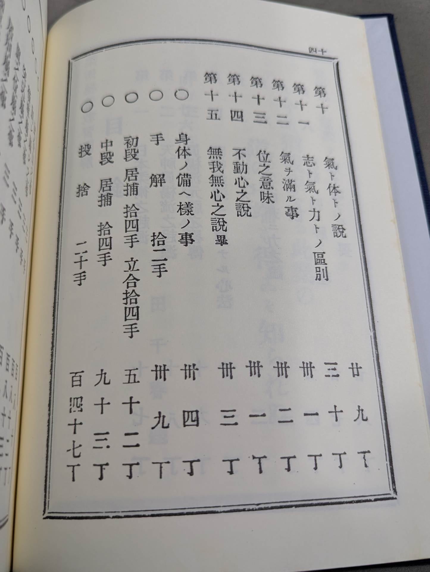 [Reprint Edition] Tenjin Shinyo-ryu Jujutsu Extreme Professor Illustrated