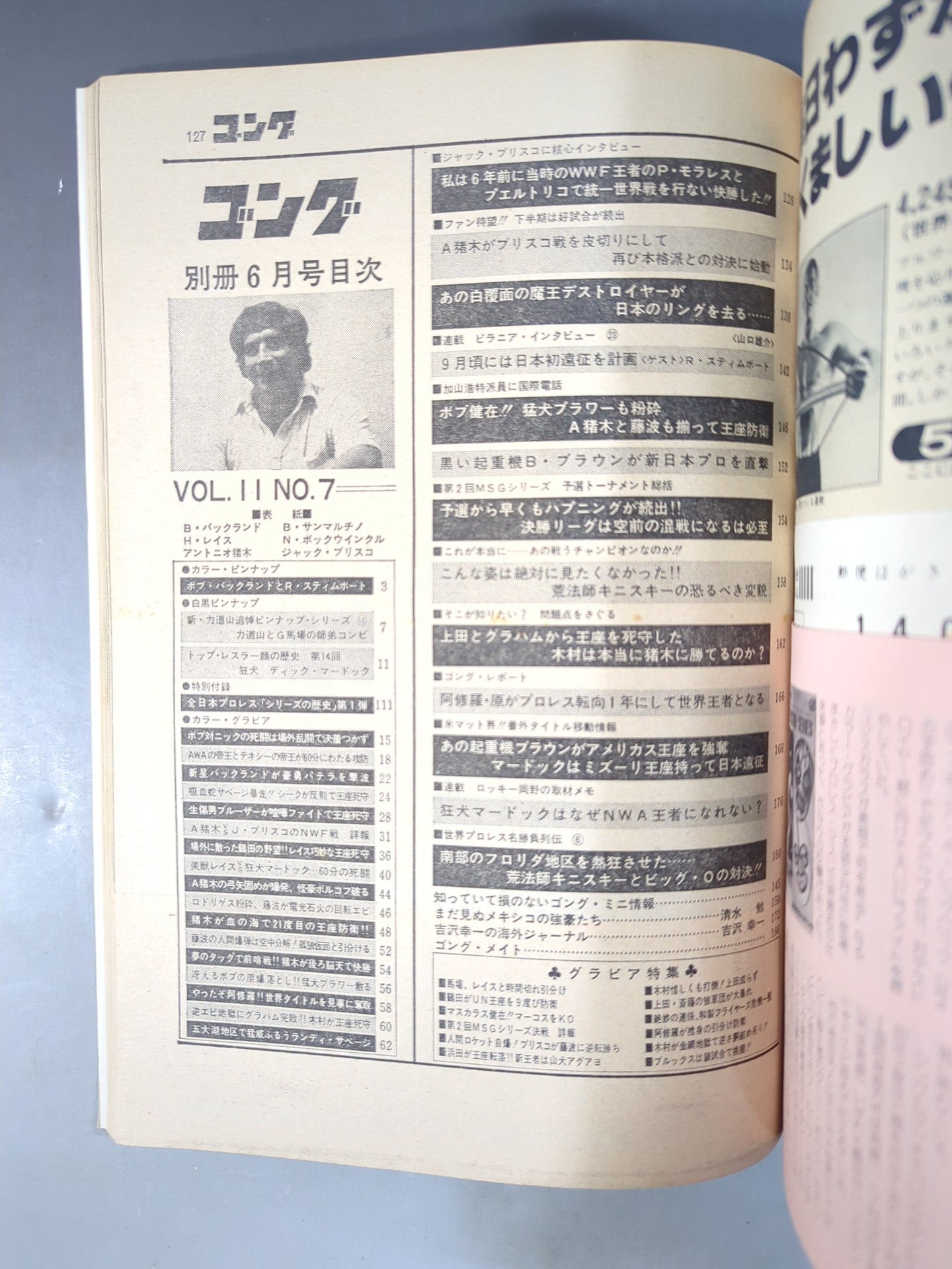 別冊ゴングVol.11 No.7