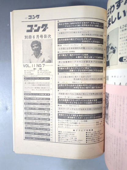 別冊ゴングVol.11 No.7