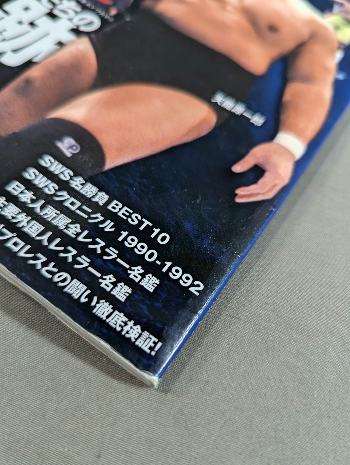 SWSプロレス激闘史 – 闘道館