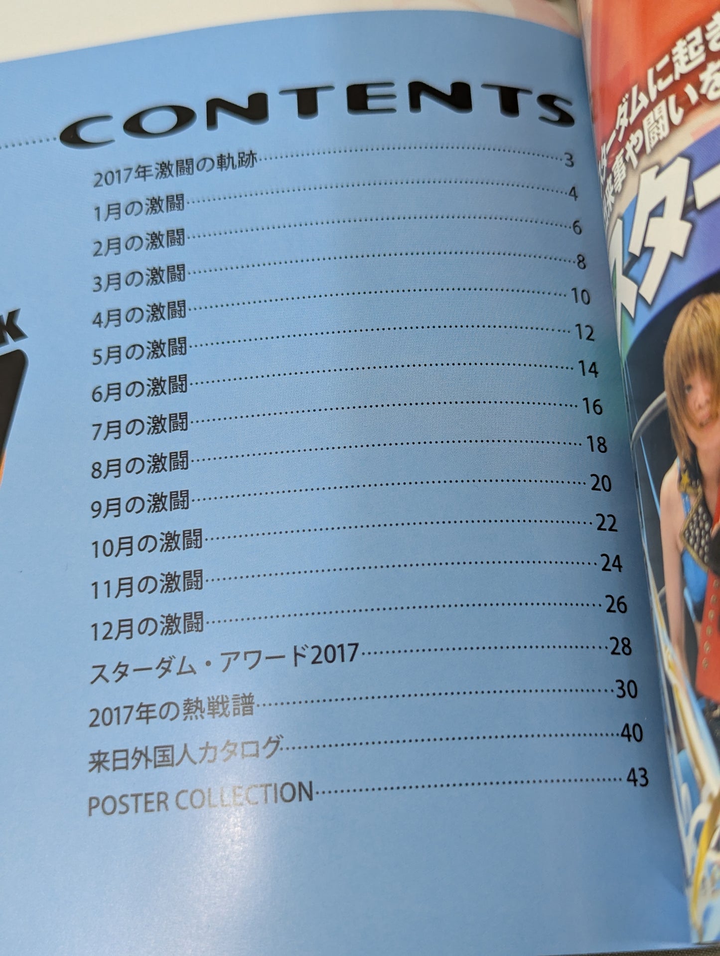 STARDOM YEAR BOOK 2017
