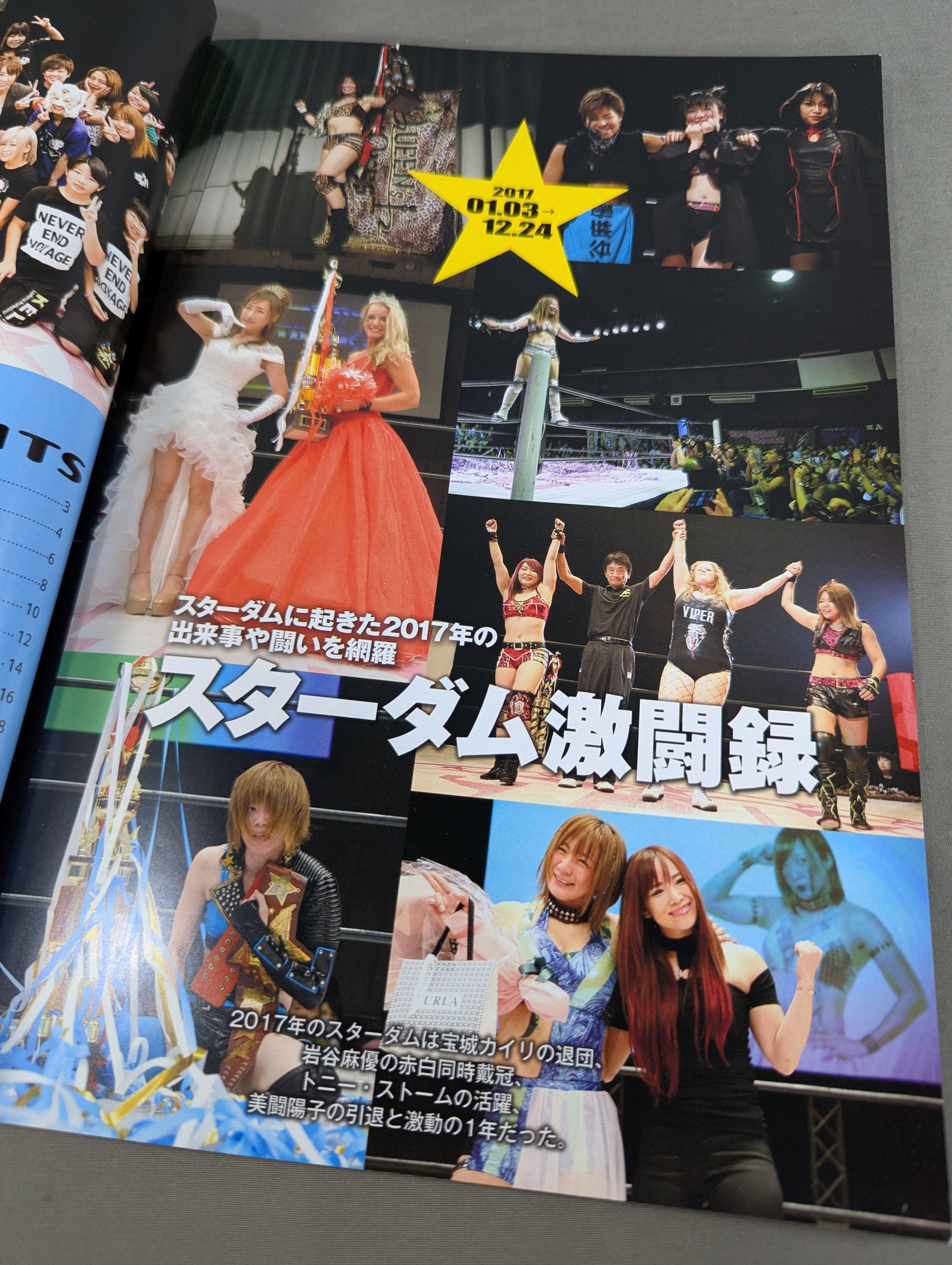 STARDOM YEAR BOOK 2017 – 闘道館