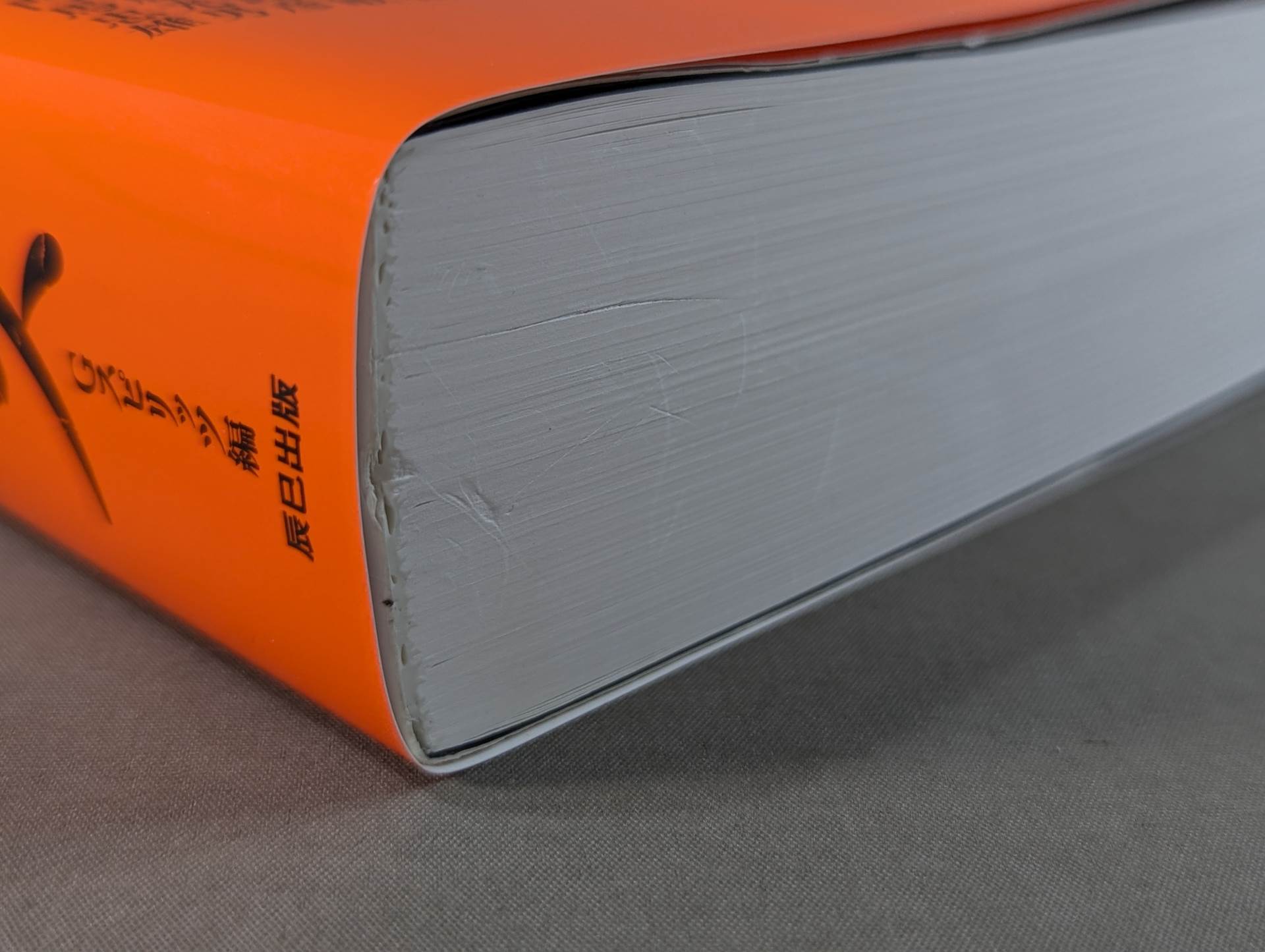 実録・国際プロレス – 闘道館