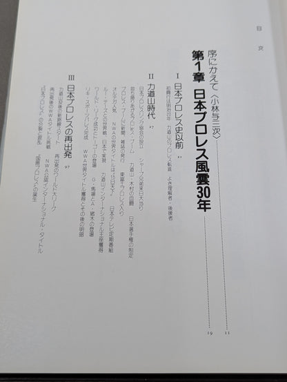 日本プロレス30年史