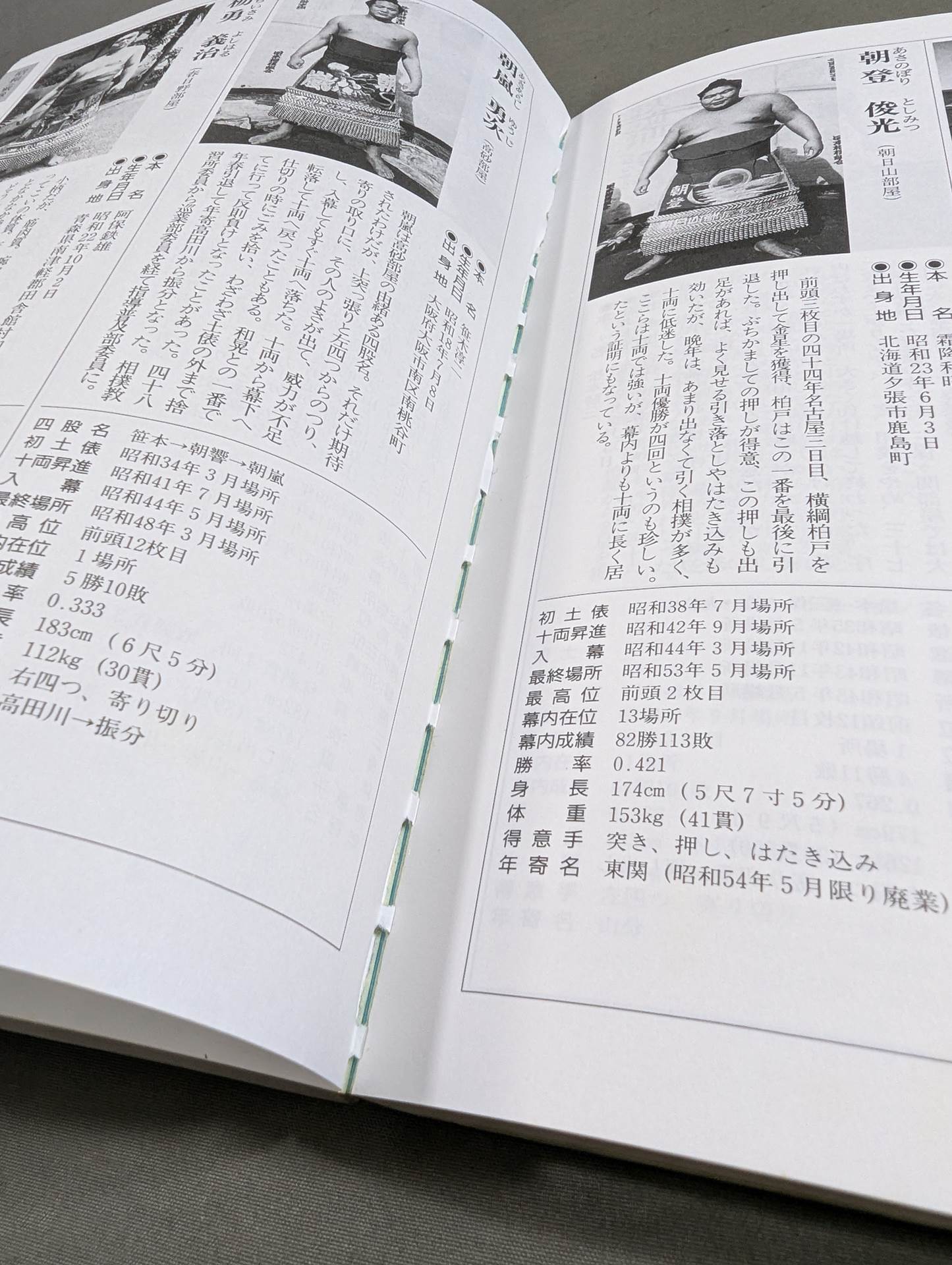 大相撲力士名鑑 [平成6年下期版]