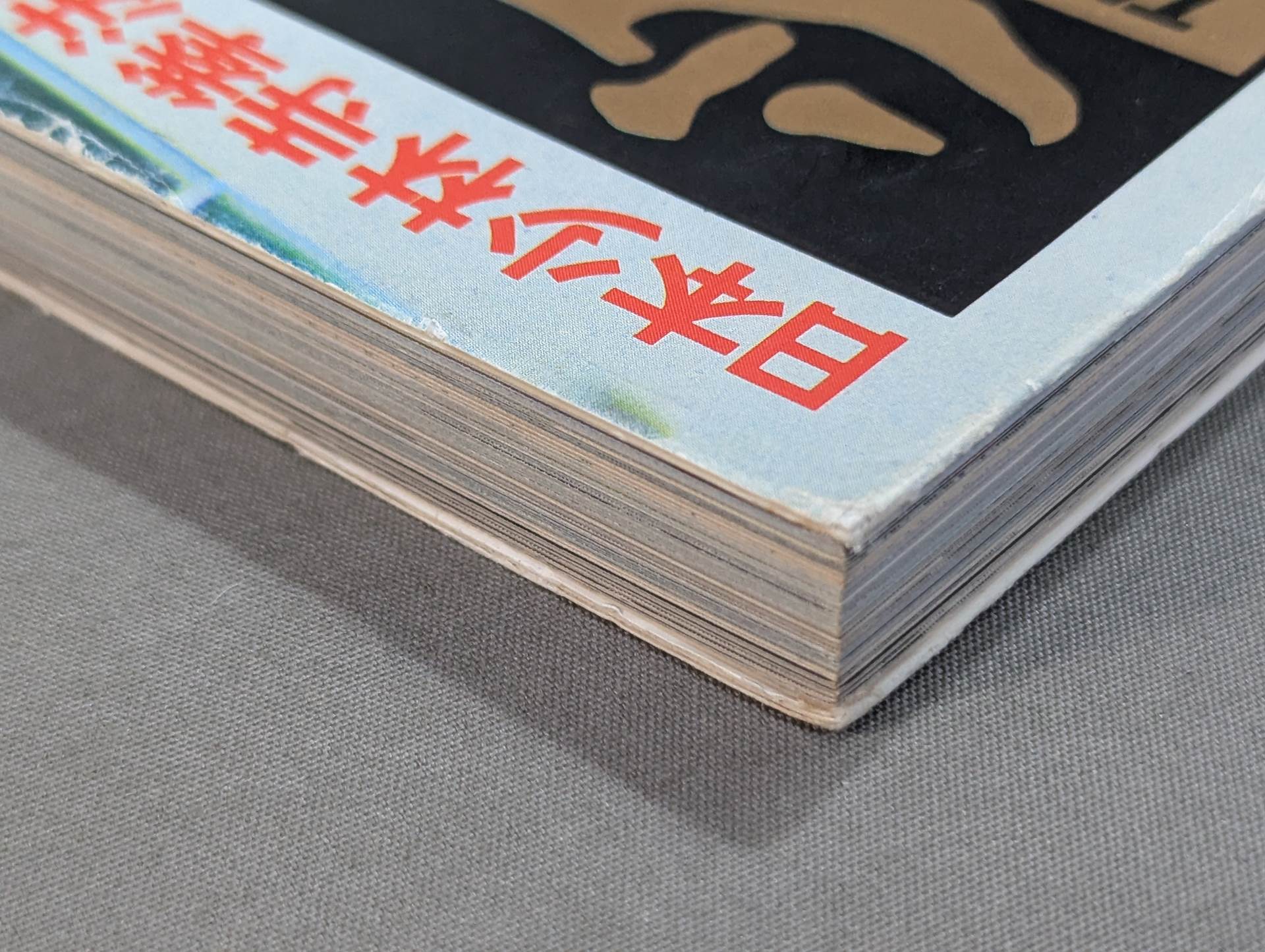少林寺拳法 日本少林寺拳法創立30周年記念 – 闘道館