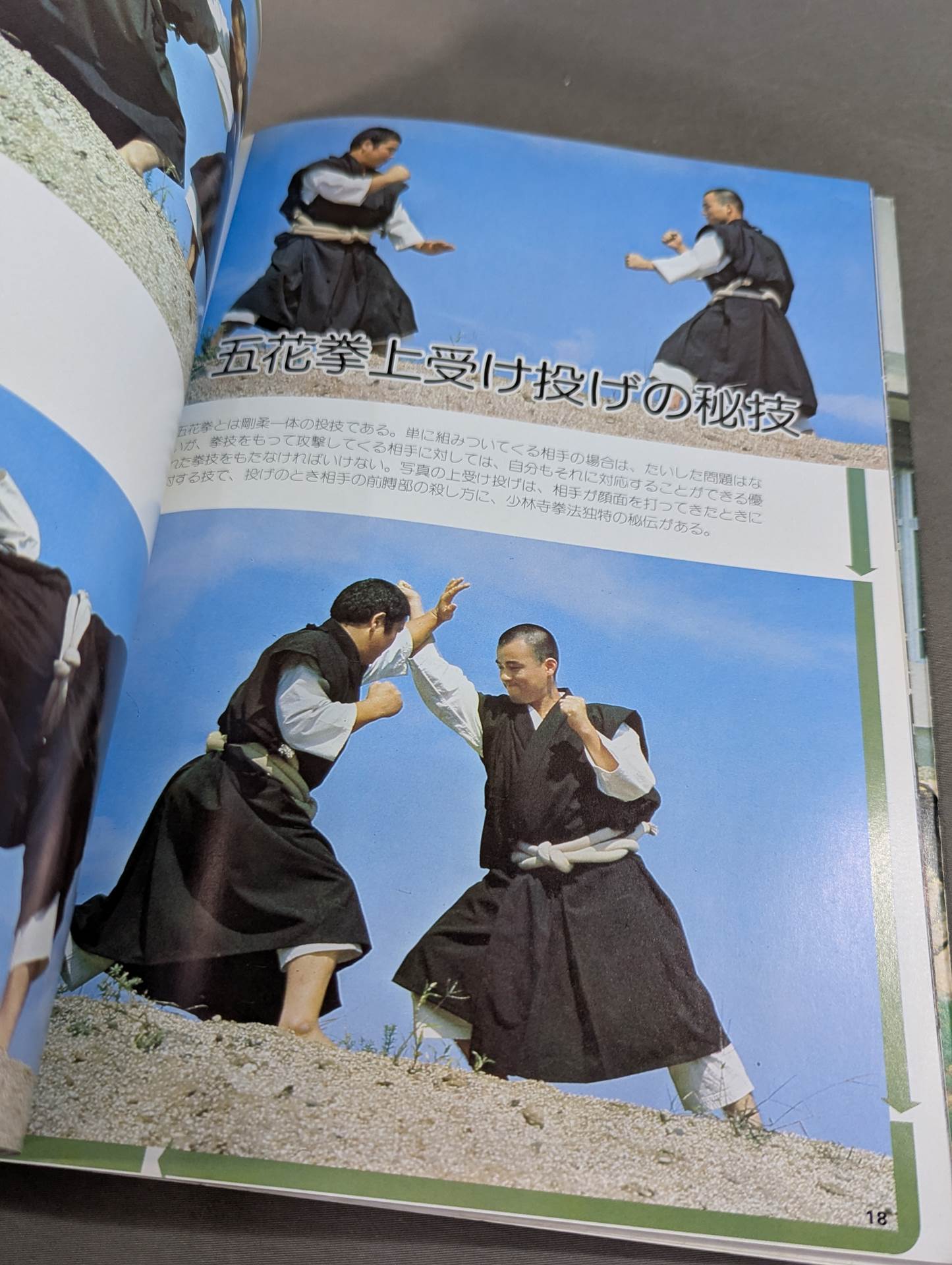 日本少林寺拳法創立30周年記念 徳間書店 少林寺拳法 日本少林寺拳法創立30周年記念 – 闘道館