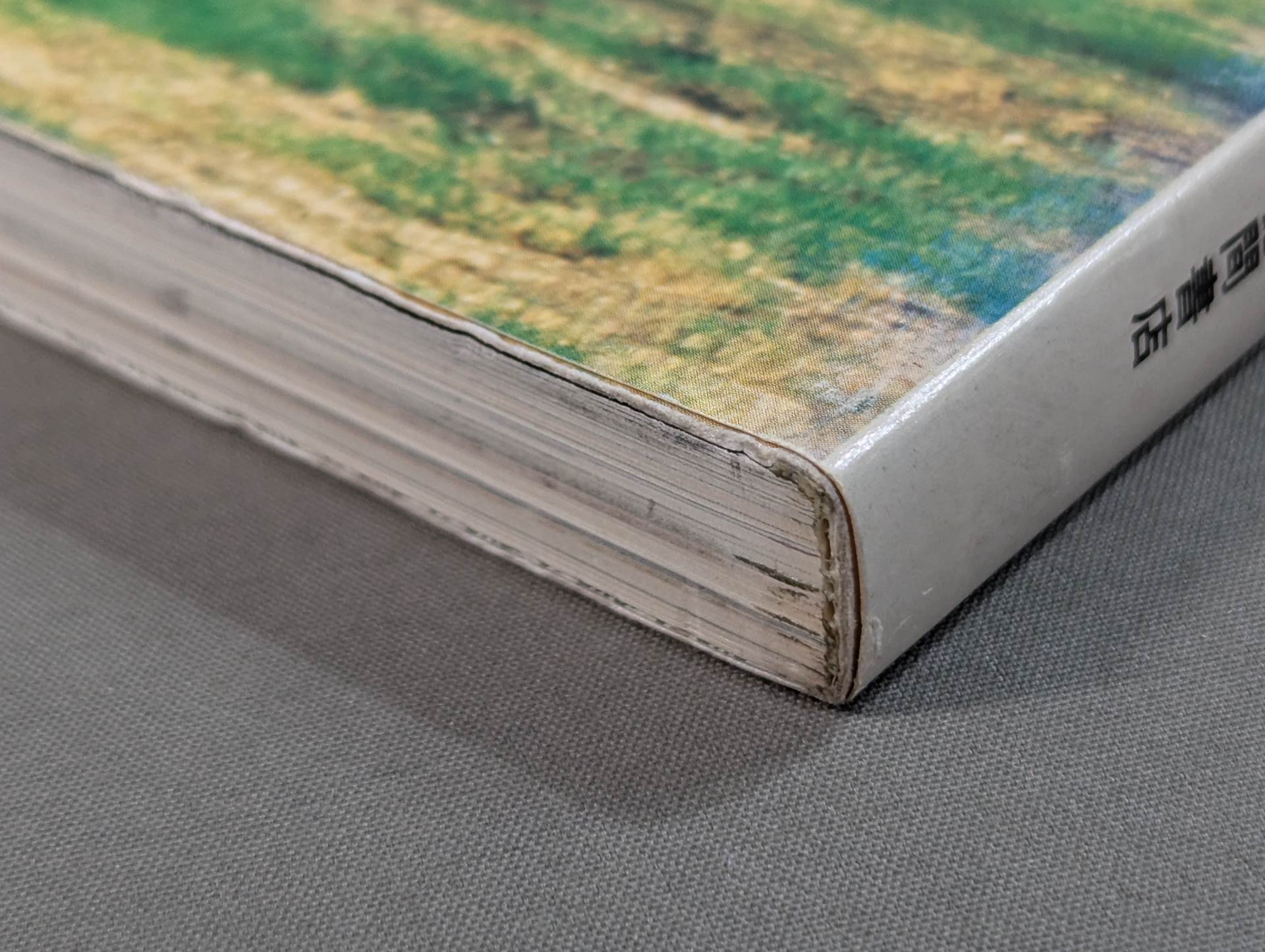 少林寺拳法 日本少林寺拳法創立30周年記念 – 闘道館