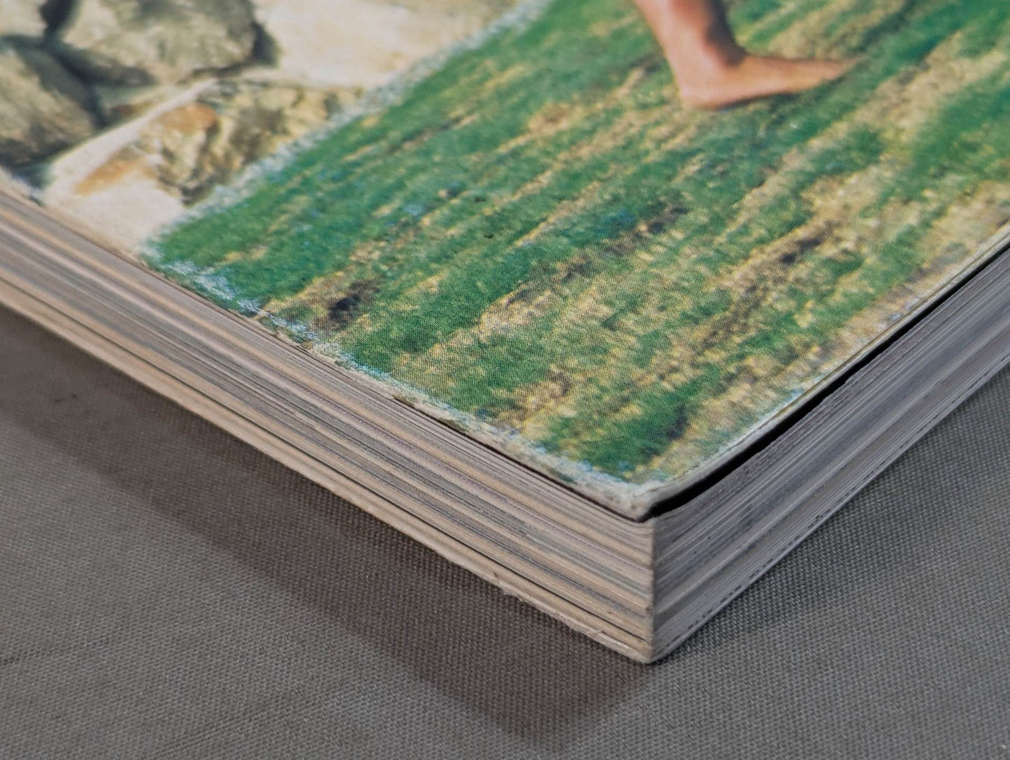 Shaolin Kenpo 30th Anniversary of the Founding of Shaolin Kenpo in Japan