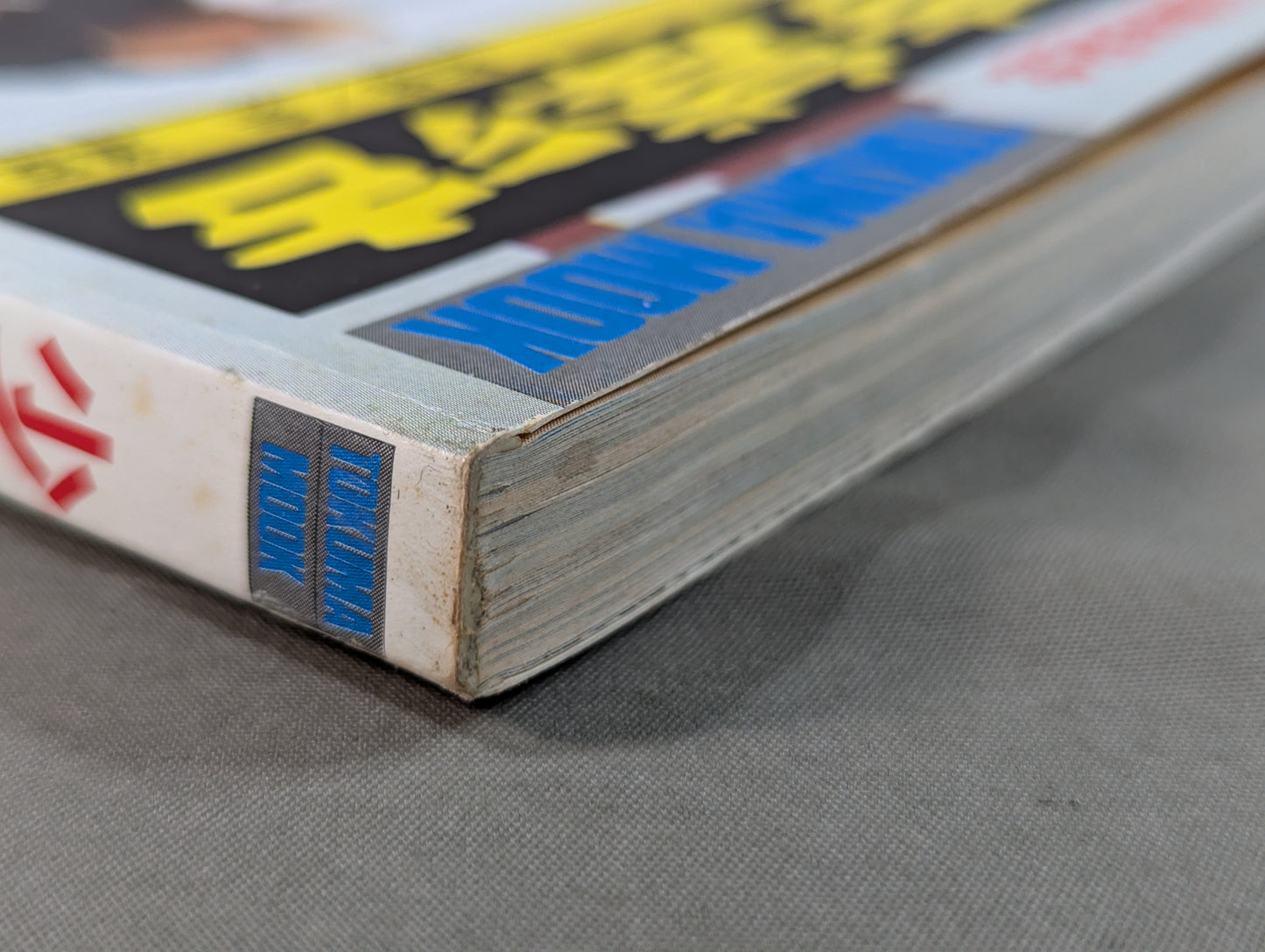 少林寺拳法 日本少林寺拳法創立30周年記念