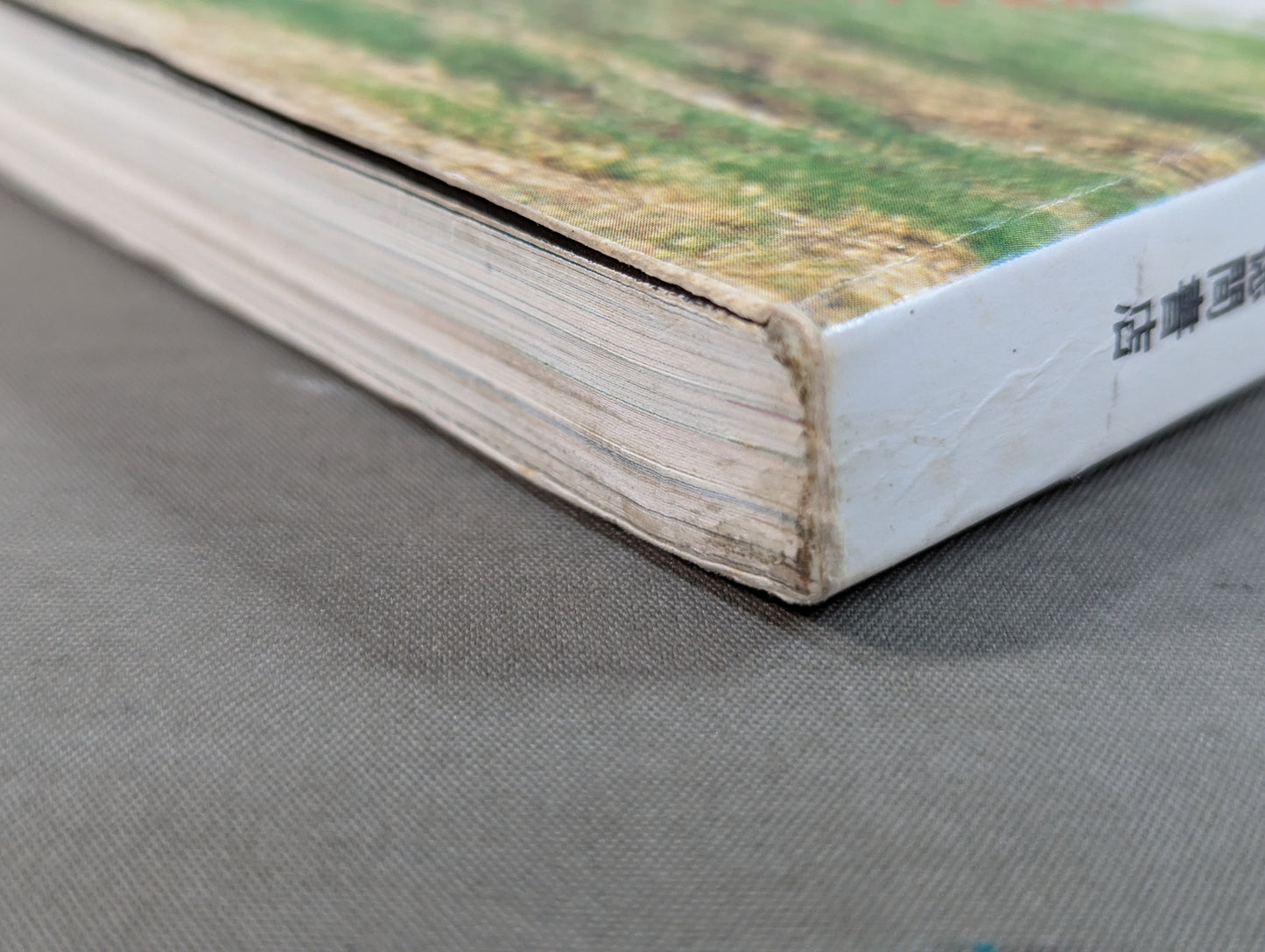 少林寺拳法 日本少林寺拳法創立30周年記念