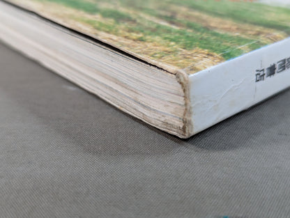 少林寺拳法 日本少林寺拳法創立30周年記念