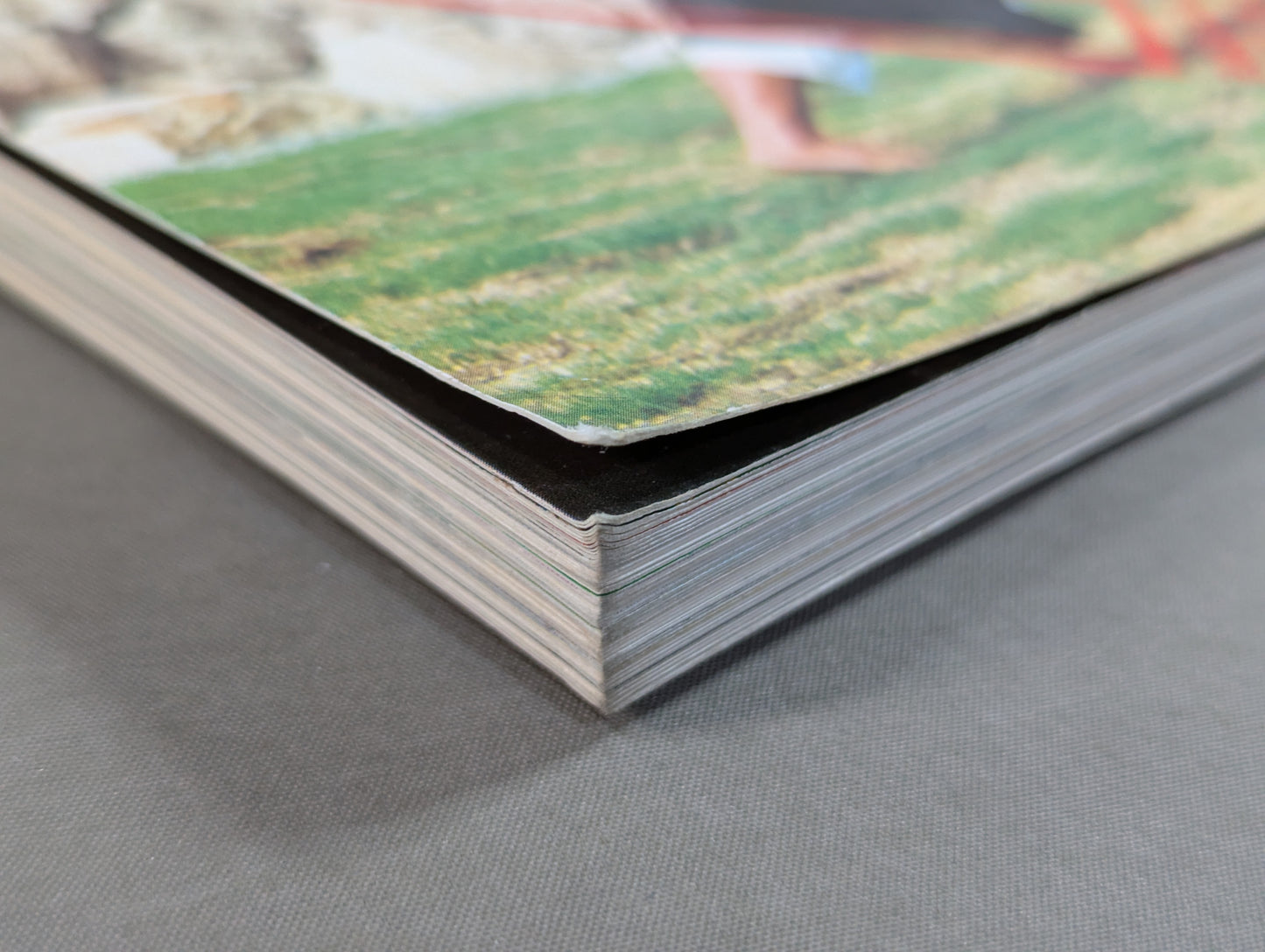 少林寺拳法 日本少林寺拳法創立30周年記念