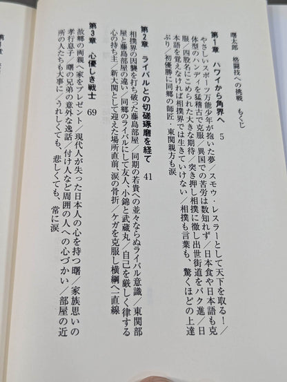曙太郎 格闘技への挑戦