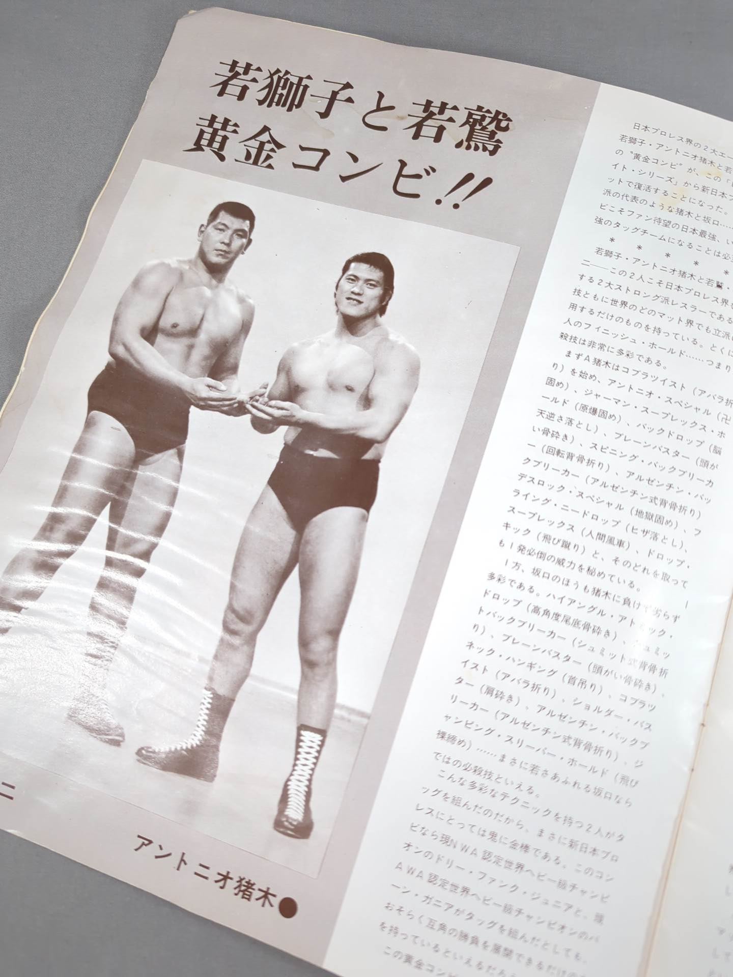 73ビッグファイトシリーズ