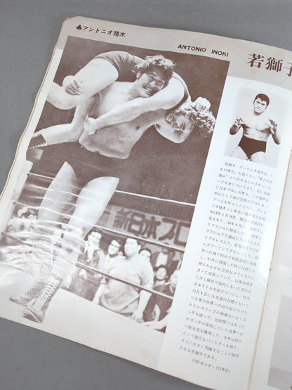 73ビッグファイトシリーズ