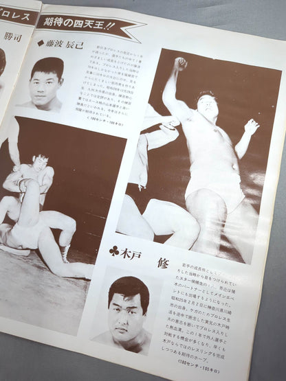 73ビッグファイトシリーズ