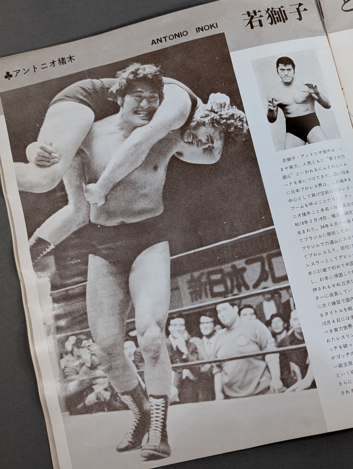 73 Big Fight Series