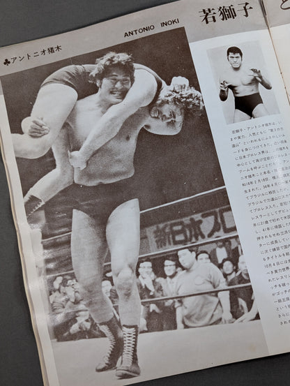 73 Big Fight Series