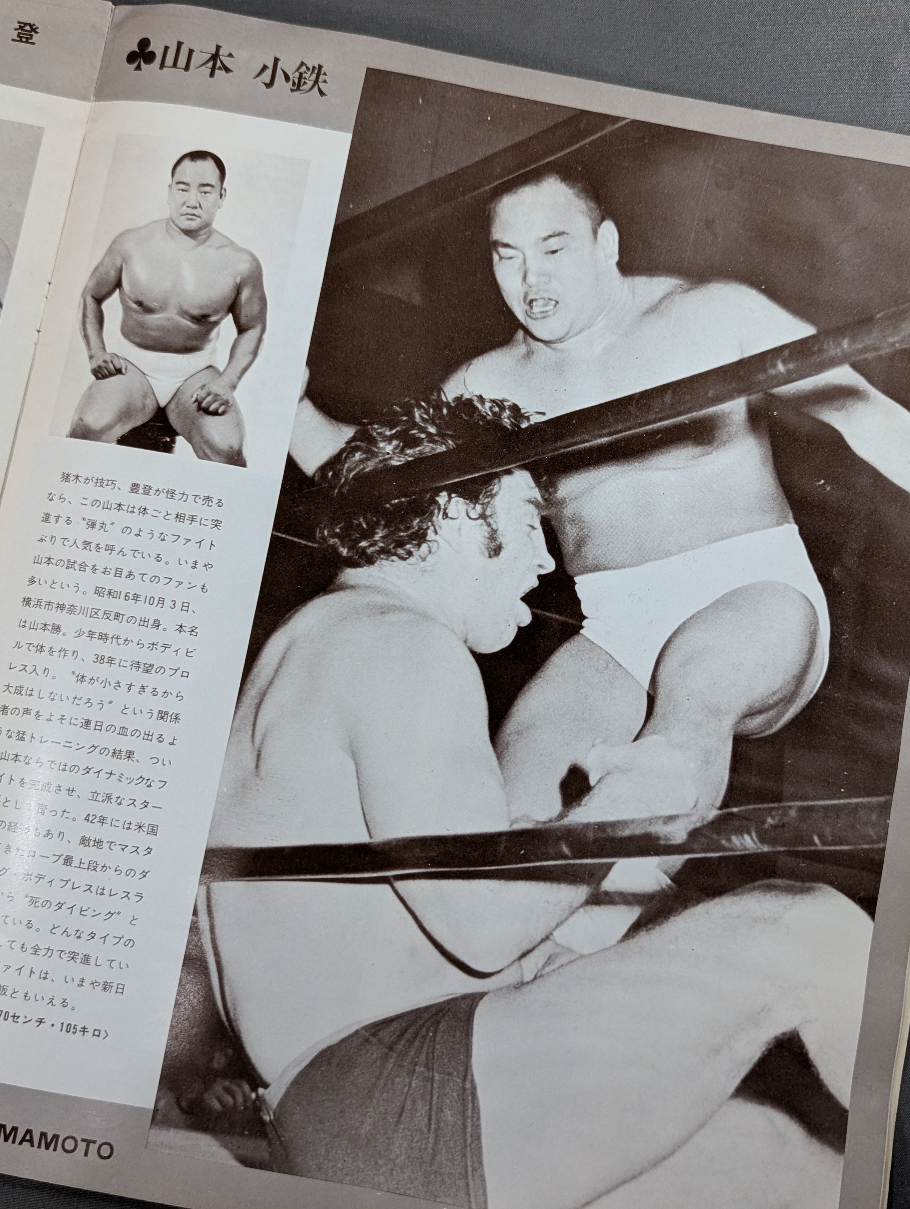 73ビッグファイトシリーズ – 闘道館