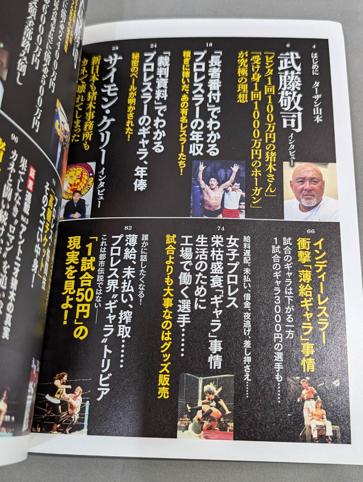 Series Paradoxical Pro Wrestling  Vol.18 Pro Wrestling "Ring and Gold" Golden Story
