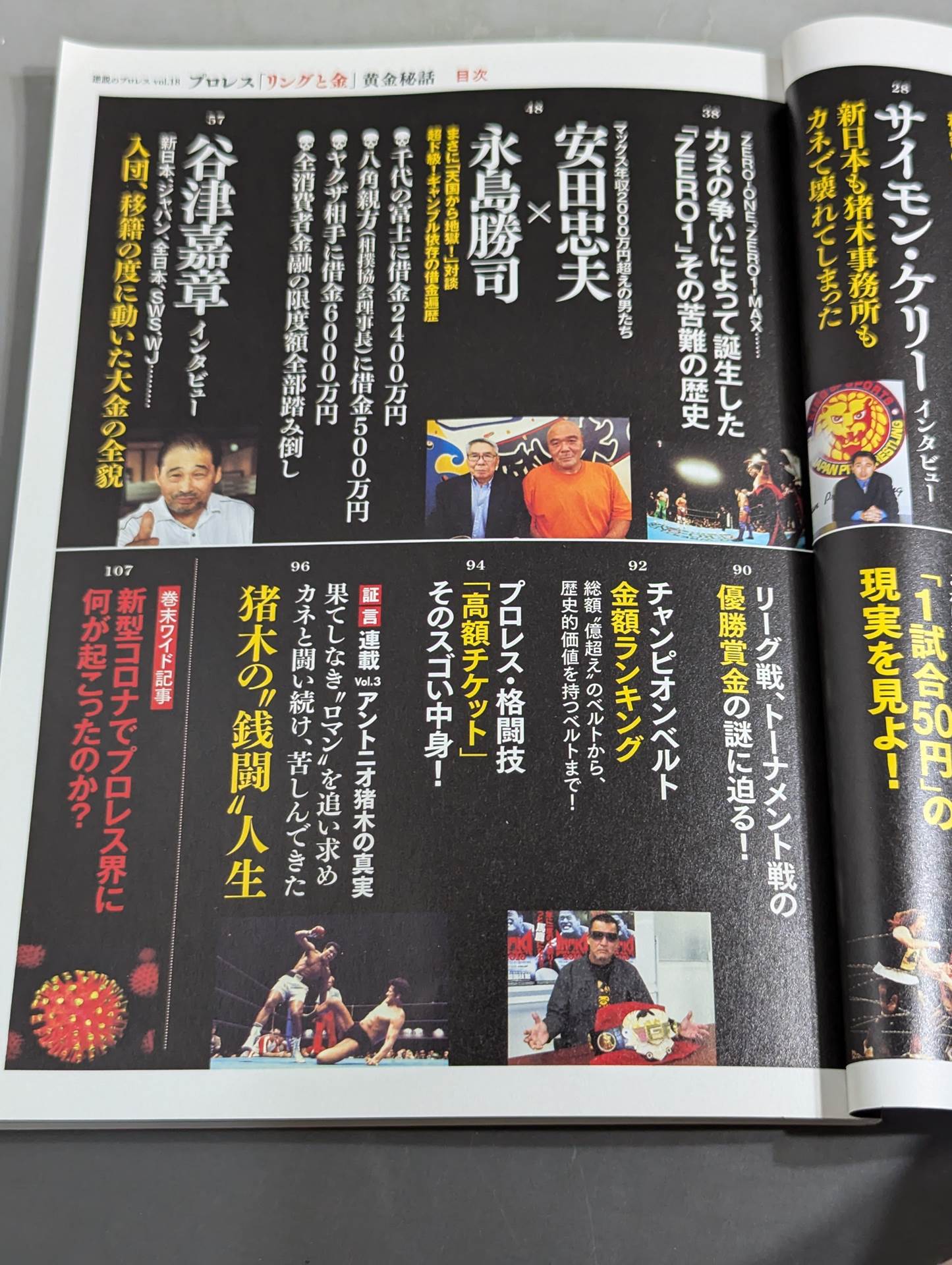 Series Paradoxical Pro Wrestling  Vol.18 Pro Wrestling "Ring and Gold" Golden Story