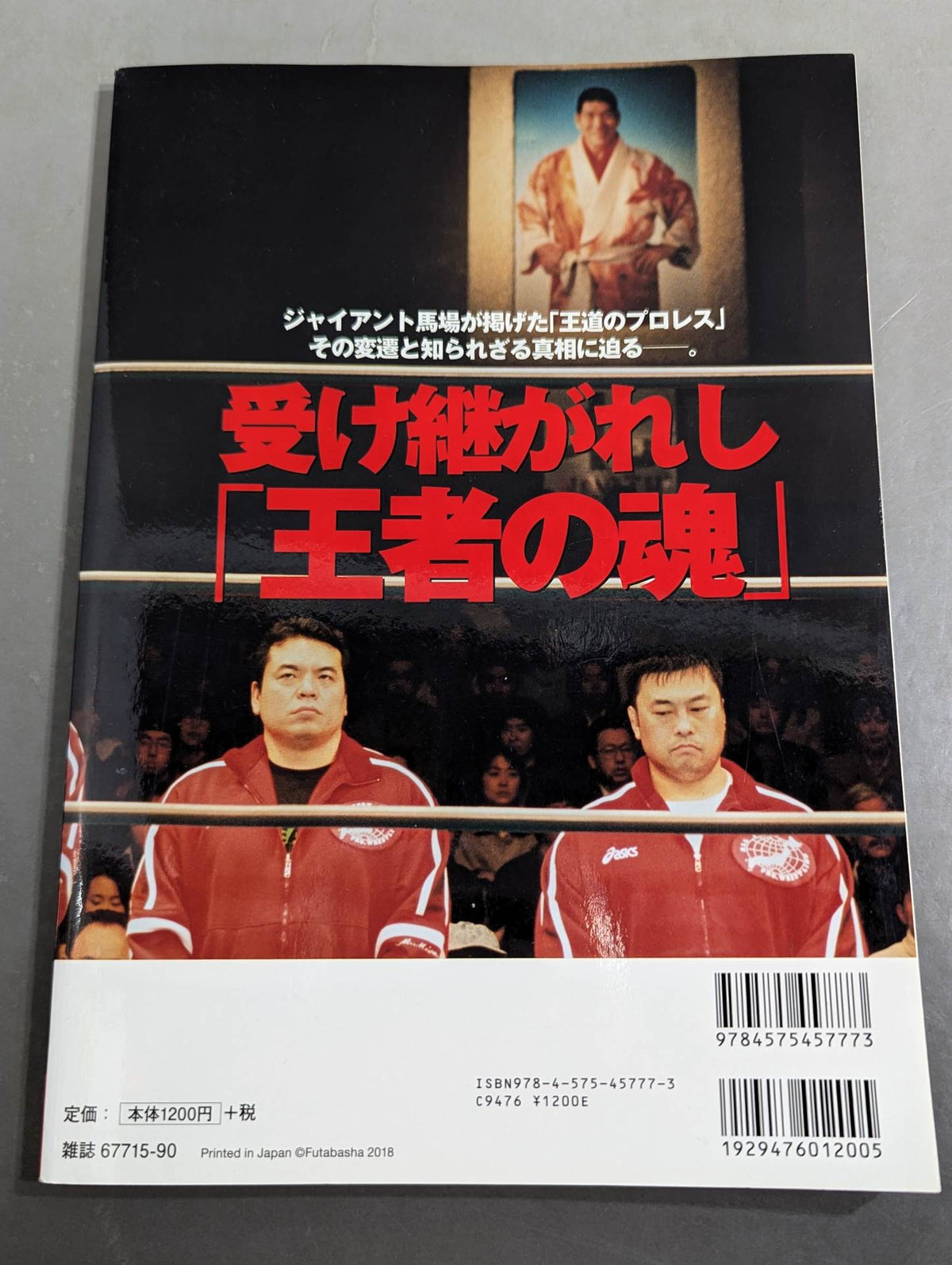 Our Pro Wrestling  Vol.10 12 People Who Know "All of Japan" Reveal "The Truth of the Royal Road"